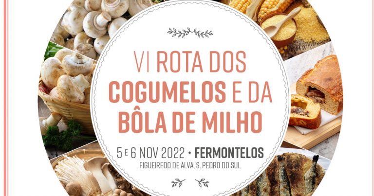 Read more about the article VI Rota dos Cogumelos