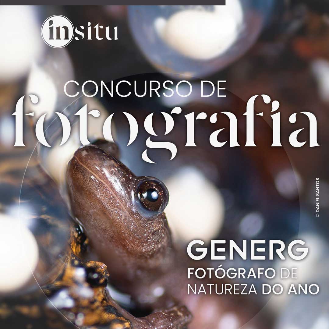 Read more about the article concurso de fotografia – GENERG Fotógrafo de Natureza do Ano