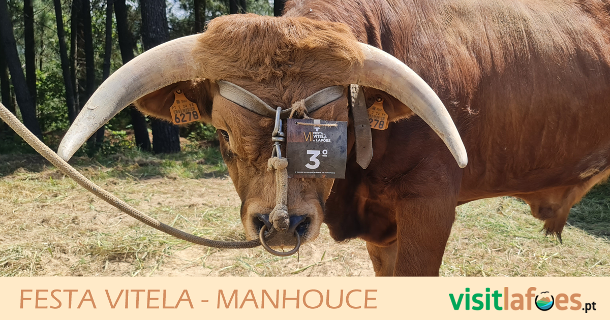 You are currently viewing Festa da Vitela – Manhouce